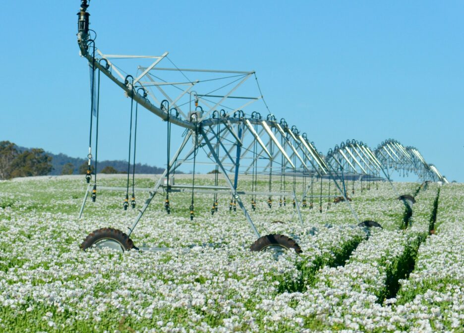 ¿Es Asia Central un mercado estratégico para los fabricantes de riego por goteo?