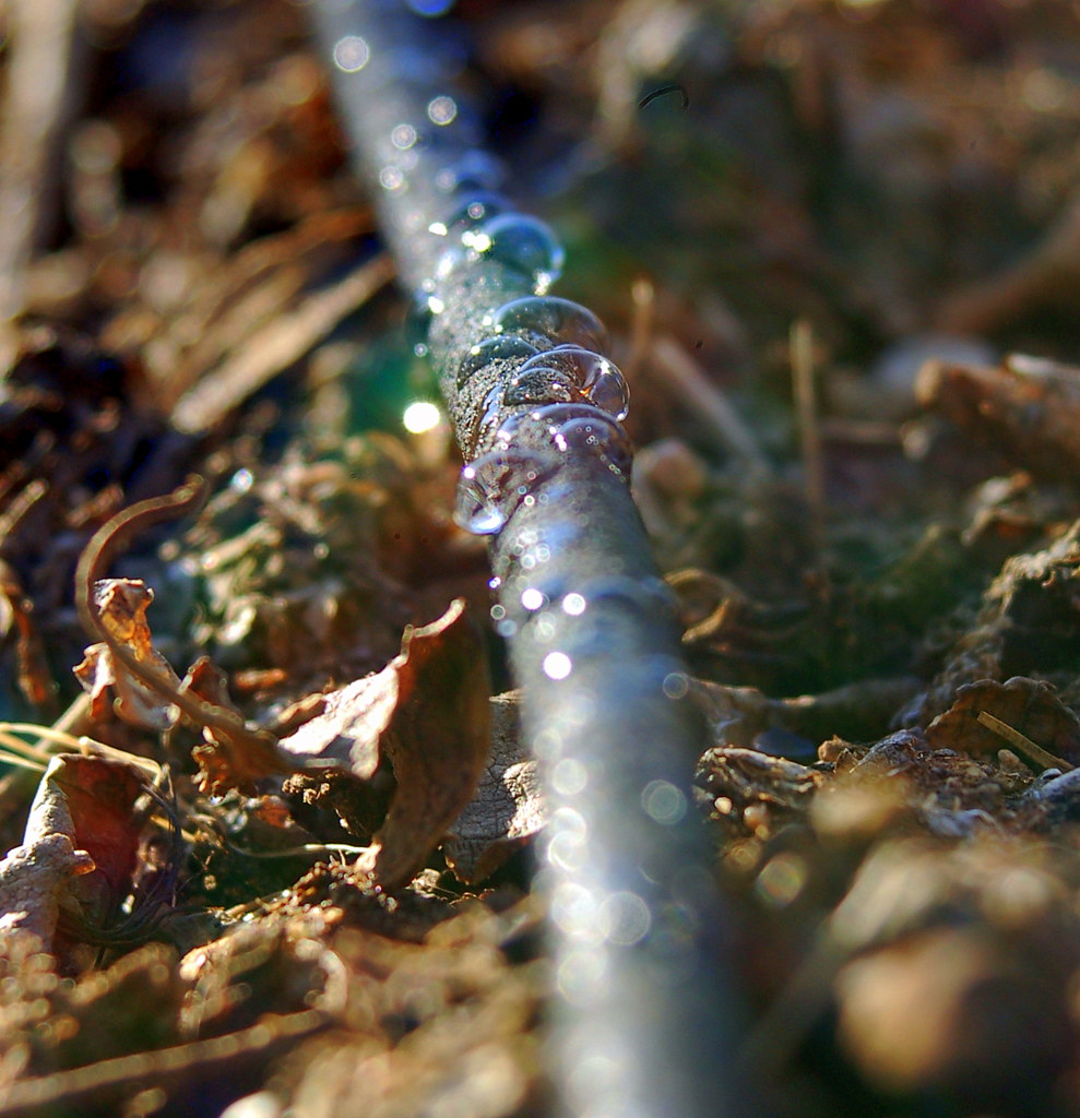 ¿Es Asia Central un mercado estratégico para los fabricantes de riego por goteo?